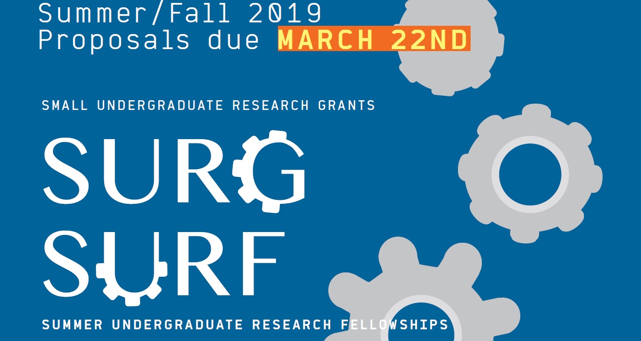 SURG 2019 Logo