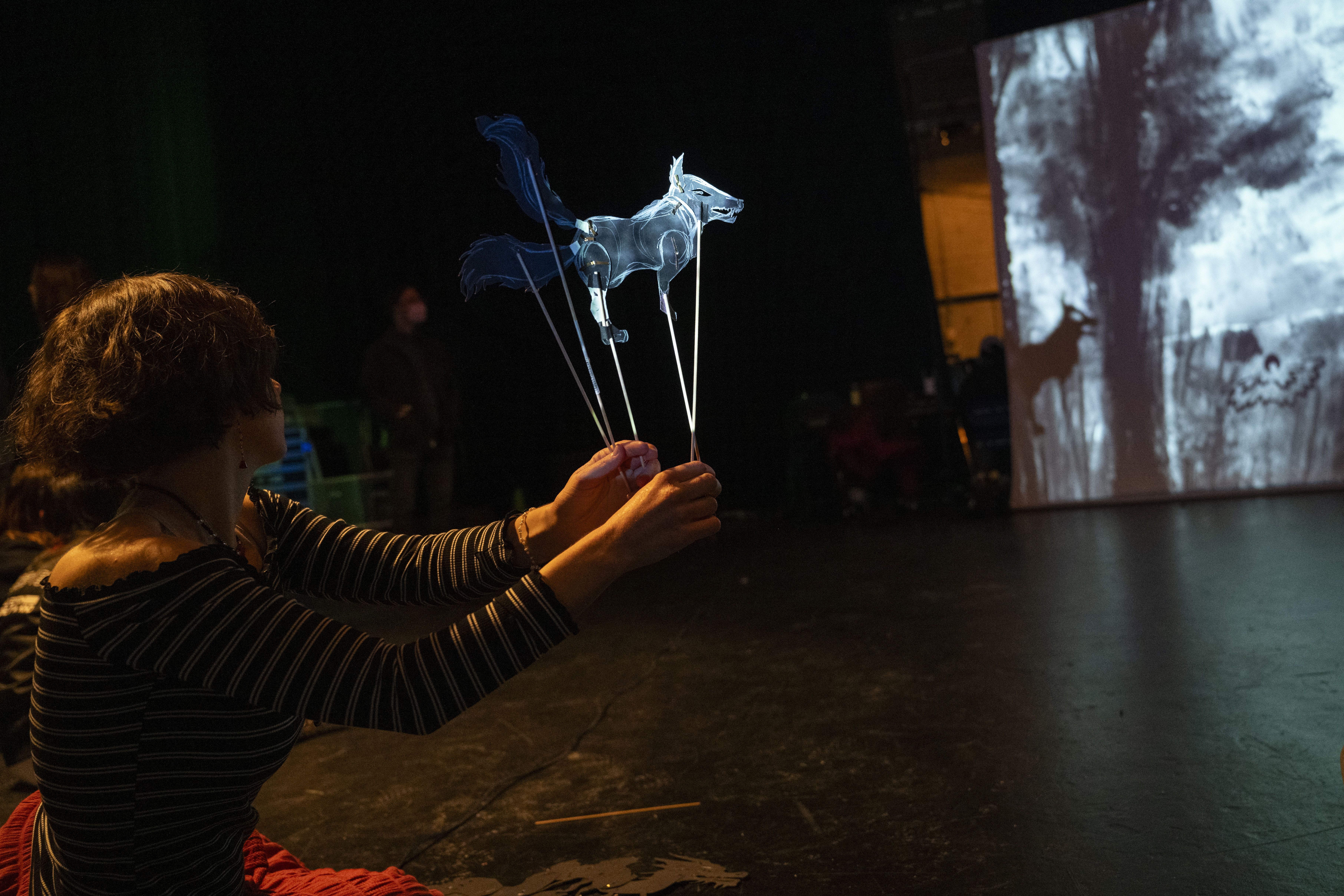 artist moves a shadow puppet over an animated screen